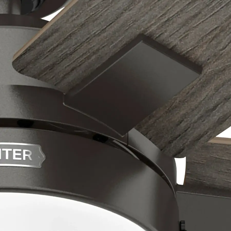 Anisten LED Light 52 inch - Image 40