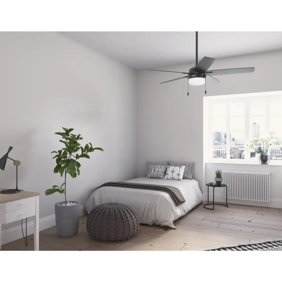 Anisten LED Light 52 inch - Image 5