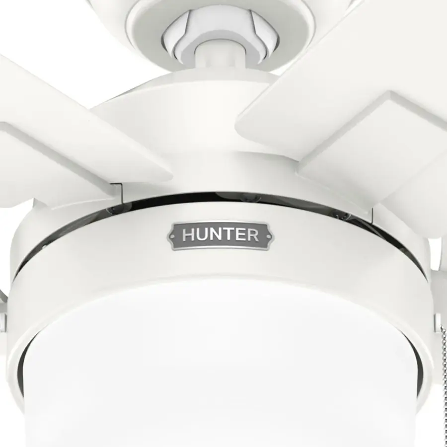 Anisten LED Light 52 inch - Image 45