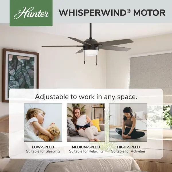 Anisten LED Light 52 inch - Image 68