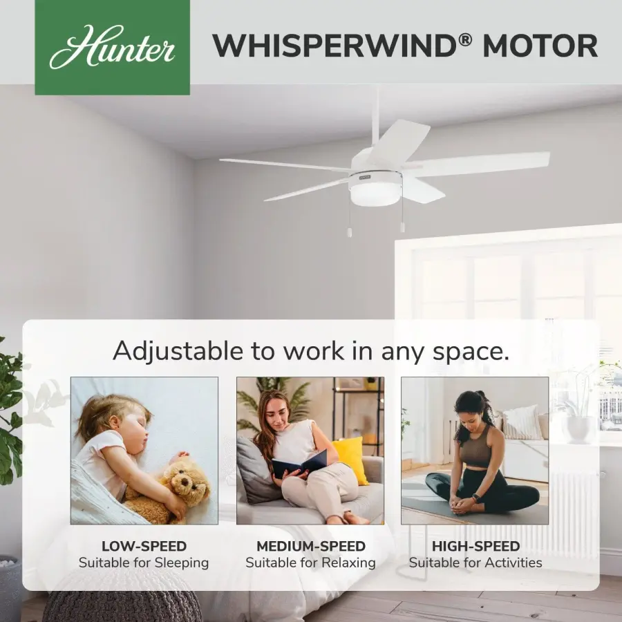 Anisten LED Light 52 inch - Image 69