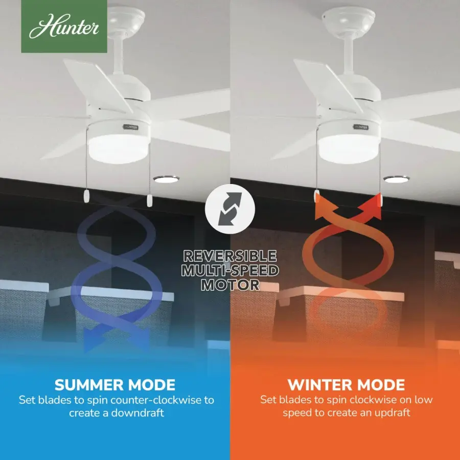 Bardot LED Light 44 inch - Image 12