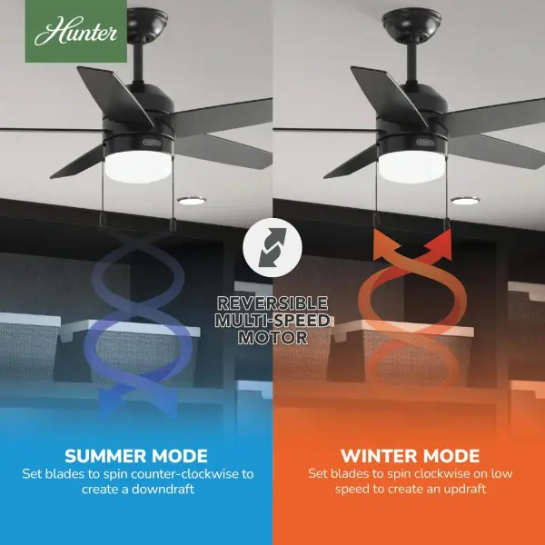 Bardot LED Light 44 inch - Image 13