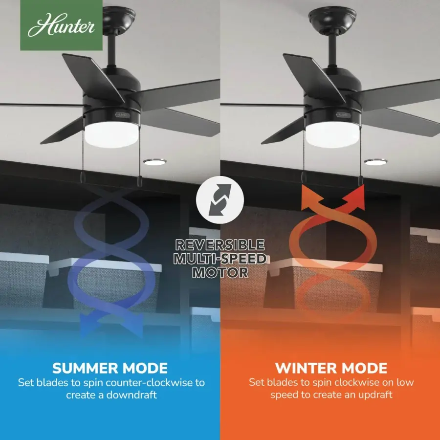 Bardot LED Light 44 inch - Image 13