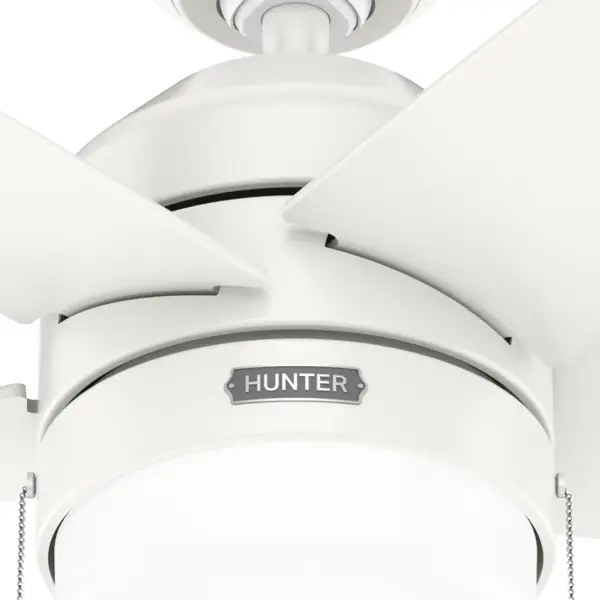 Bardot LED Light 44 inch - Image 22