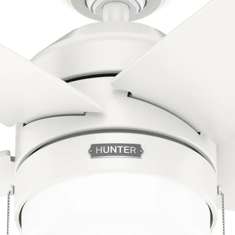 Bardot LED Light 44 inch - Image 22