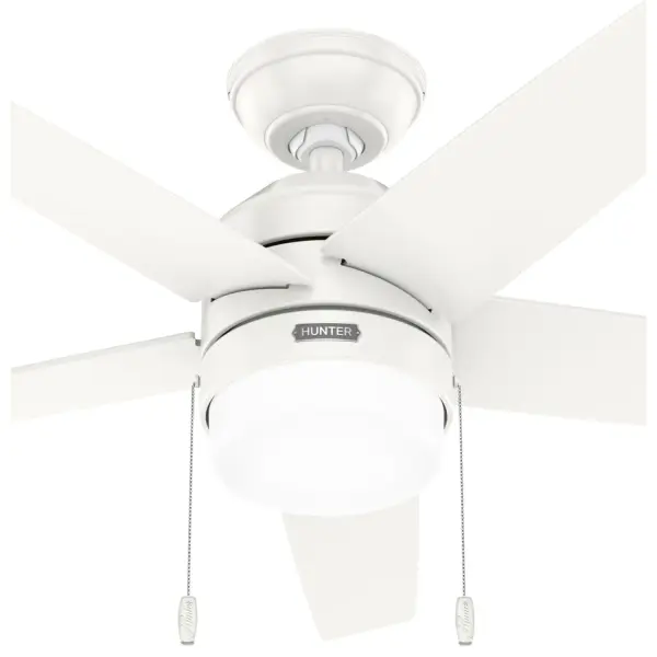 Bardot LED Light 44 inch - Image 24