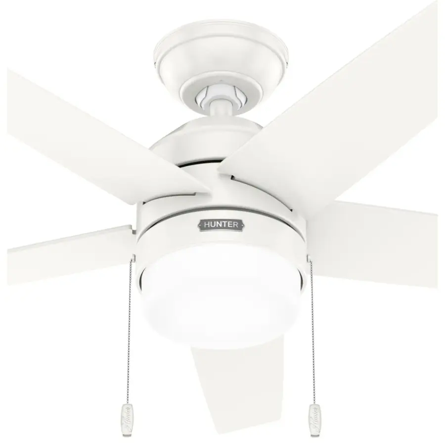 Bardot LED Light 44 inch - Image 24