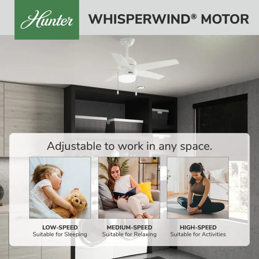 Bardot LED Light 44 inch - Image 32