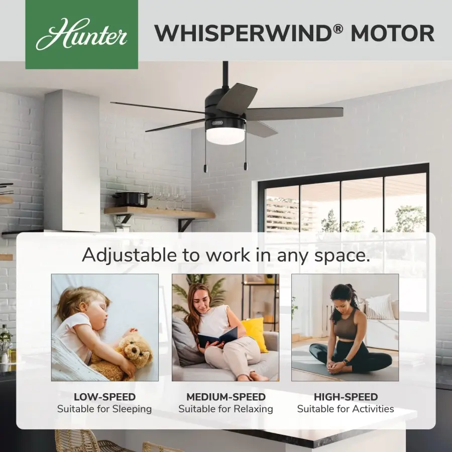 Bardot LED Light 44 inch - Image 33