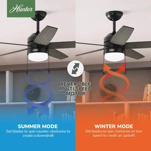 Bardot LED Light 52 inch - Image 12