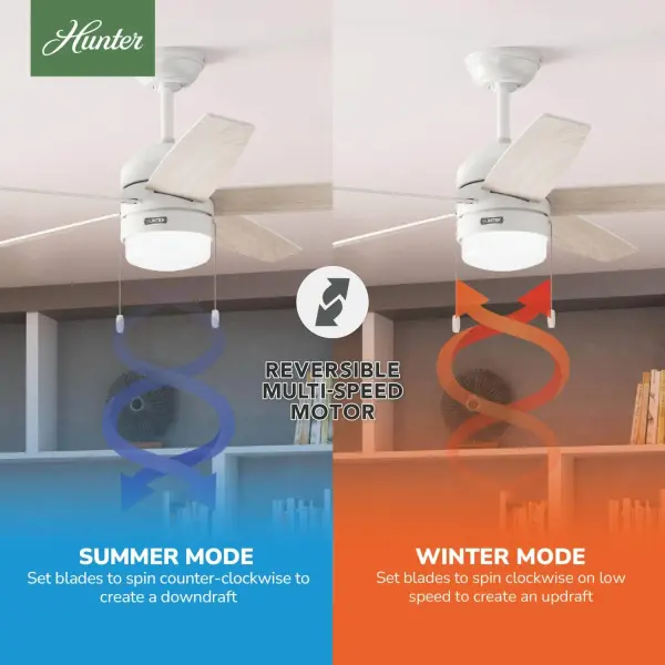 Bardot LED Light 52 inch - Image 13