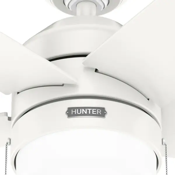 Bardot LED Light 52 inch - Image 23