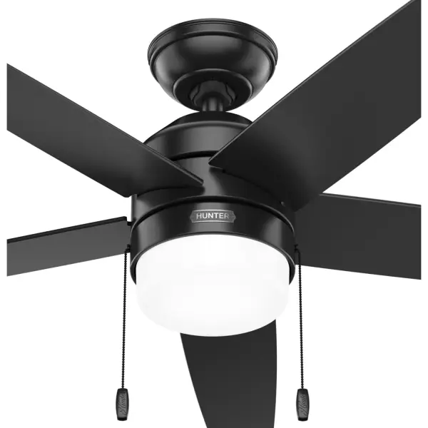 Bardot LED Light 52 inch - Image 24