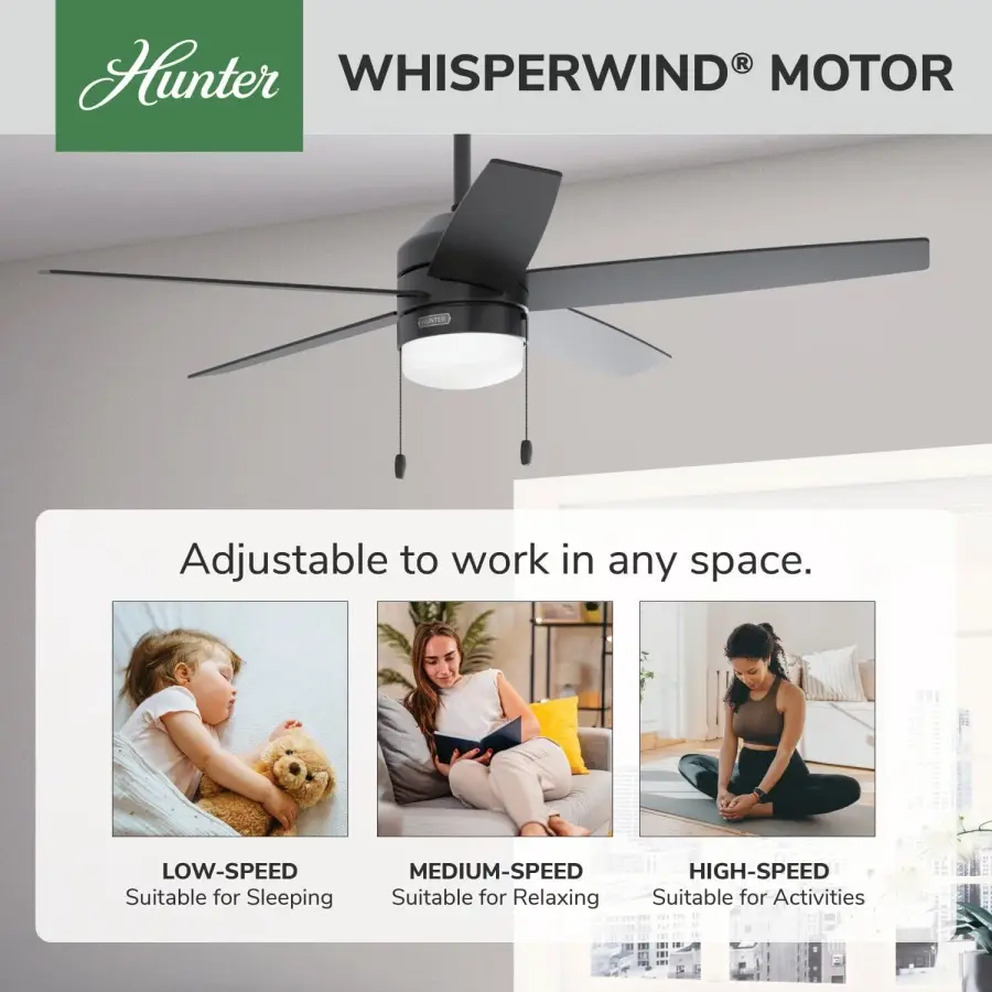 Bardot LED Light 52 inch - Image 32