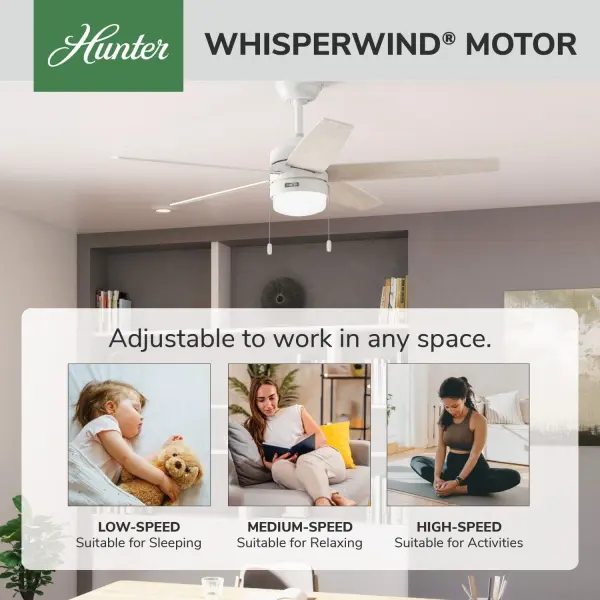 Bardot LED Light 52 inch - Image 33