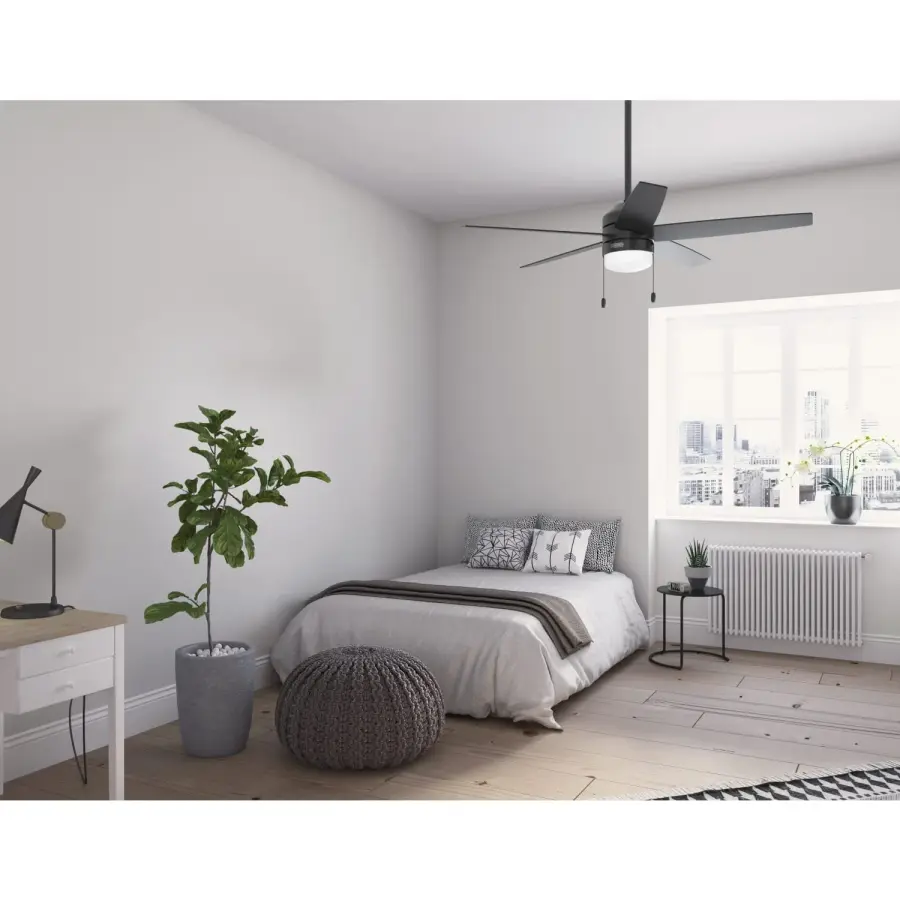 Bardot LED Light 52 inch - Image 5