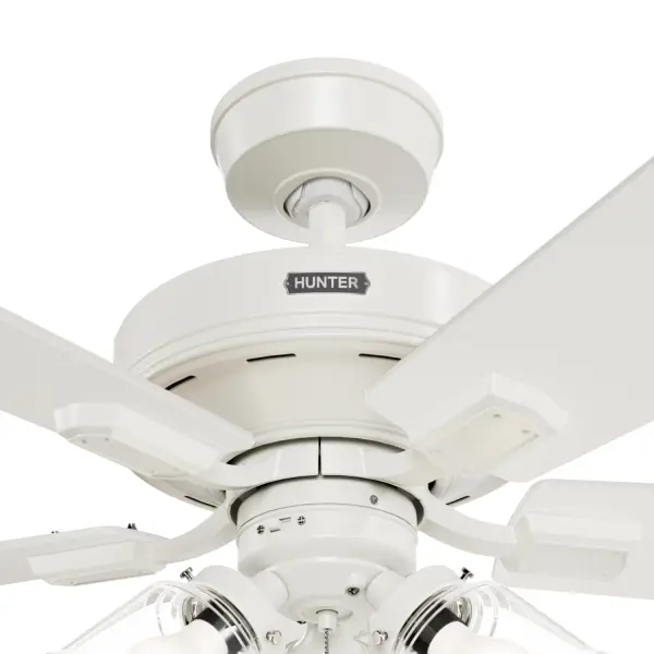 Crestfield HunterExpress with 3 LED Lights 52 inch - Image 40