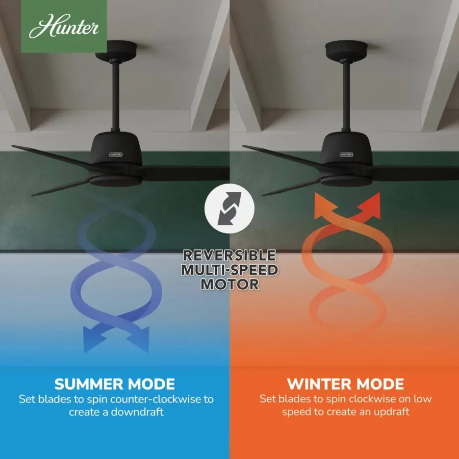 Malden Jasmine Roth Indoor 52 inch with Remote - Image 19