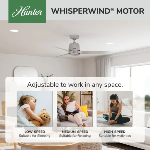 Malden Jasmine Roth Indoor 52 inch with Remote - Image 51