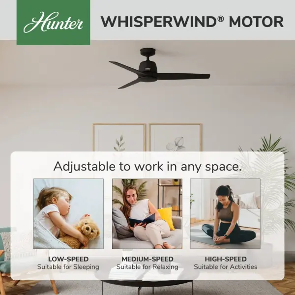 Malden Jasmine Roth Indoor 52 inch with Remote - Image 52