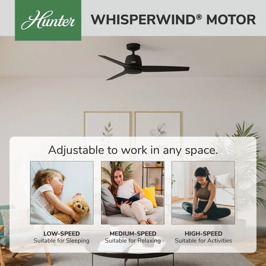 Malden Jasmine Roth Indoor 52 inch with Remote - Image 52