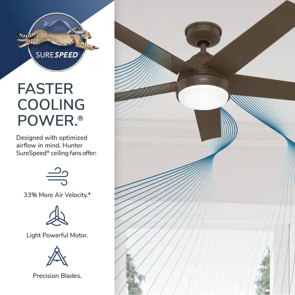 Skyflow Outdoor with LED Light 52 inch - Image 69