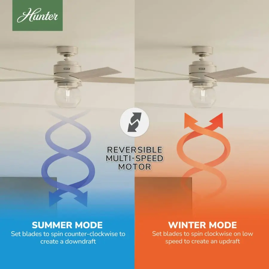 Xidane with LED Light 52 inch - Image 12