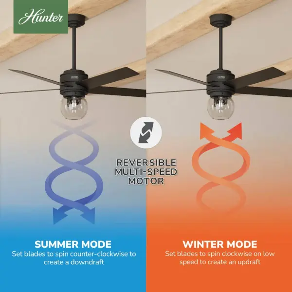 Xidane with LED Light 52 inch - Image 13