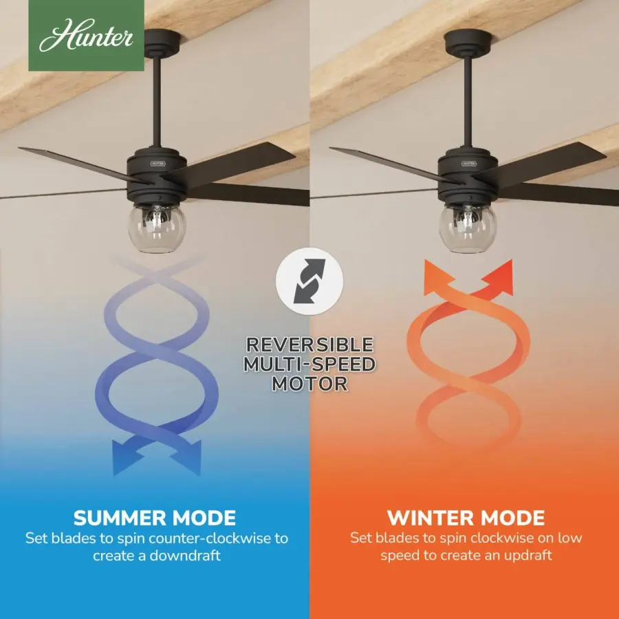 Xidane with LED Light 52 inch - Image 13