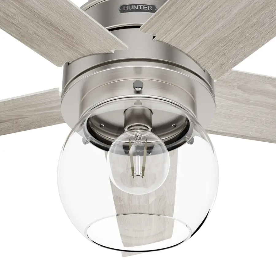 Xidane with LED Light 52 inch - Image 20