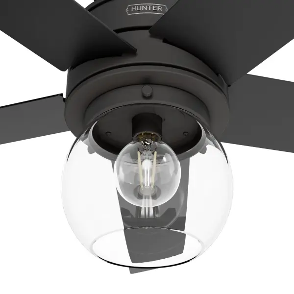 Xidane with LED Light 52 inch - Image 21