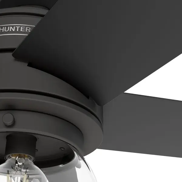 Xidane with LED Light 52 inch - Image 23