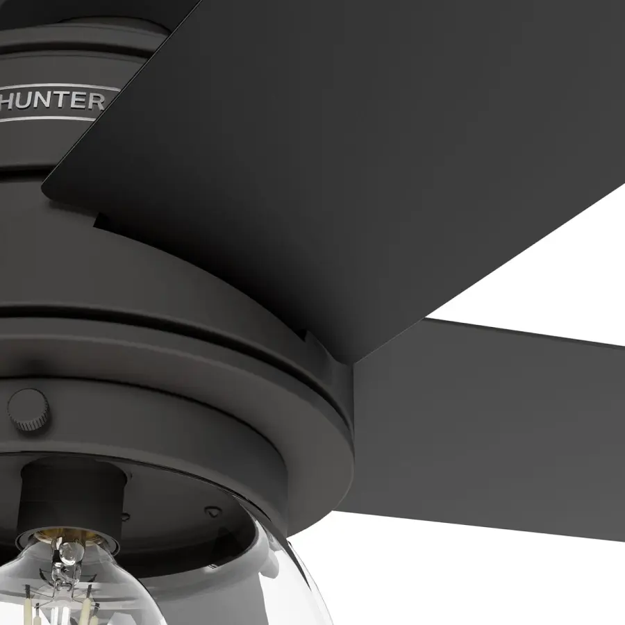 Xidane with LED Light 52 inch - Image 23