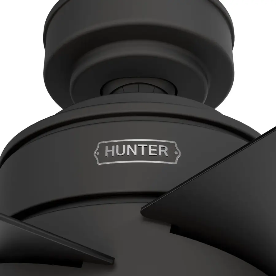 Xidane with LED Light 52 inch - Image 25