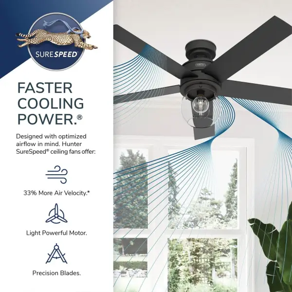 Xidane with LED Light 52 inch - Image 33