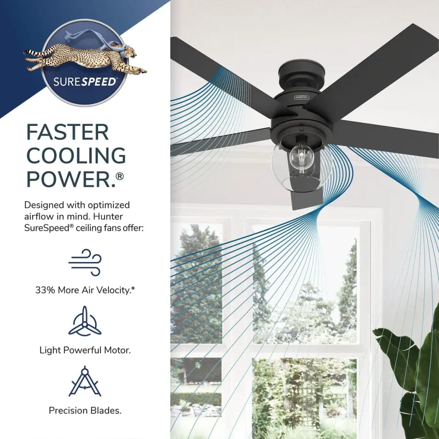 Xidane with LED Light 52 inch - Image 33