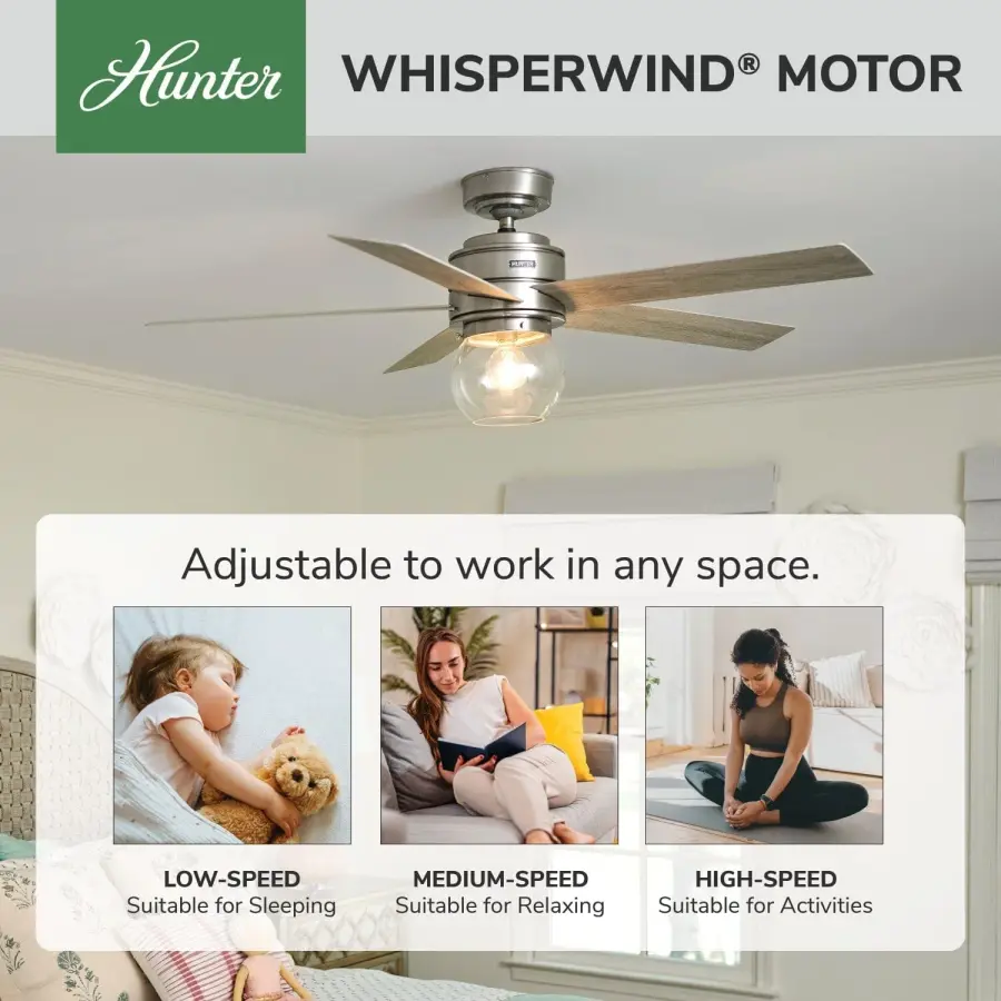 Xidane with LED Light 52 inch - Image 34