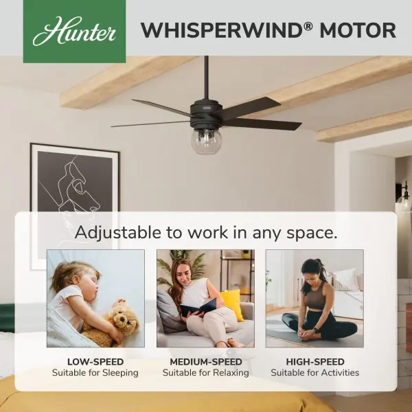 Xidane with LED Light 52 inch - Image 35