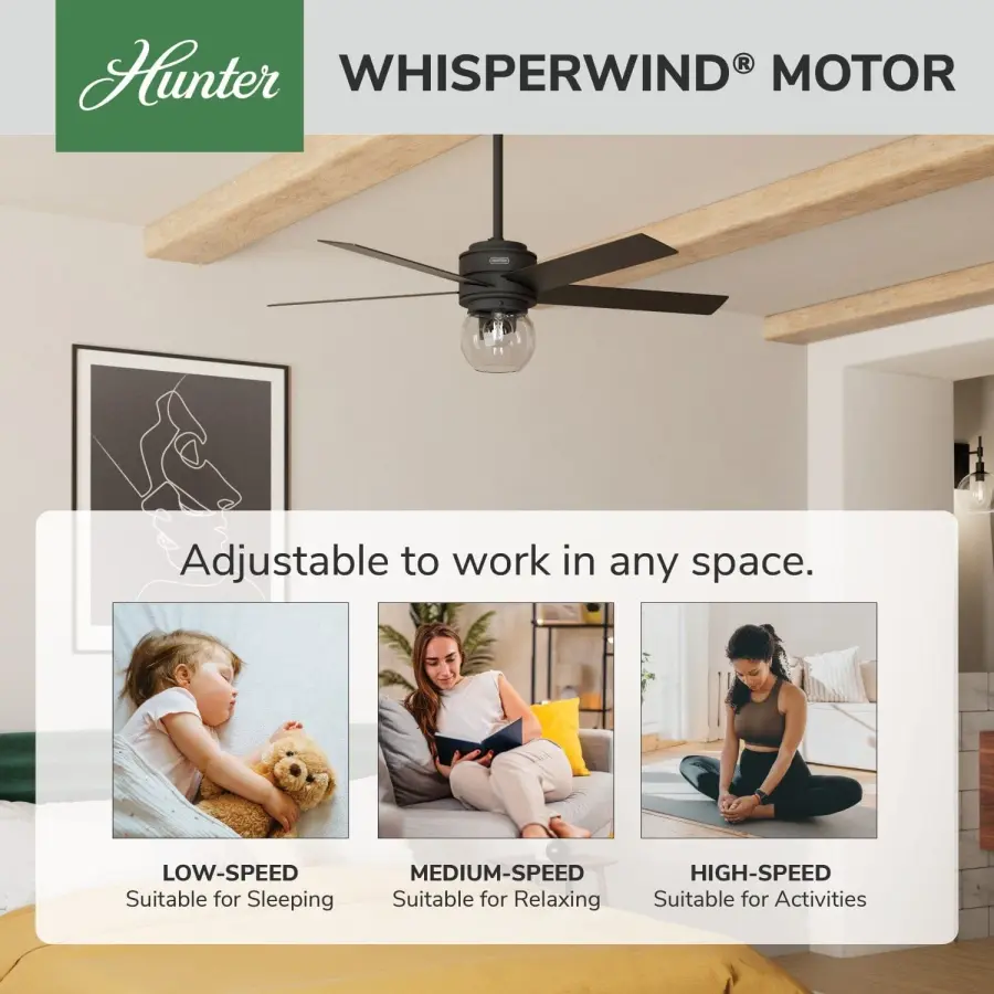 Xidane with LED Light 52 inch - Image 35