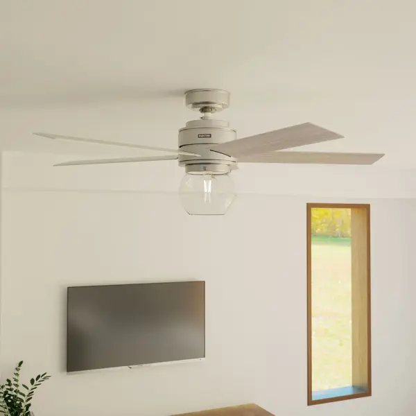 Xidane with LED Light 52 inch - Image 7