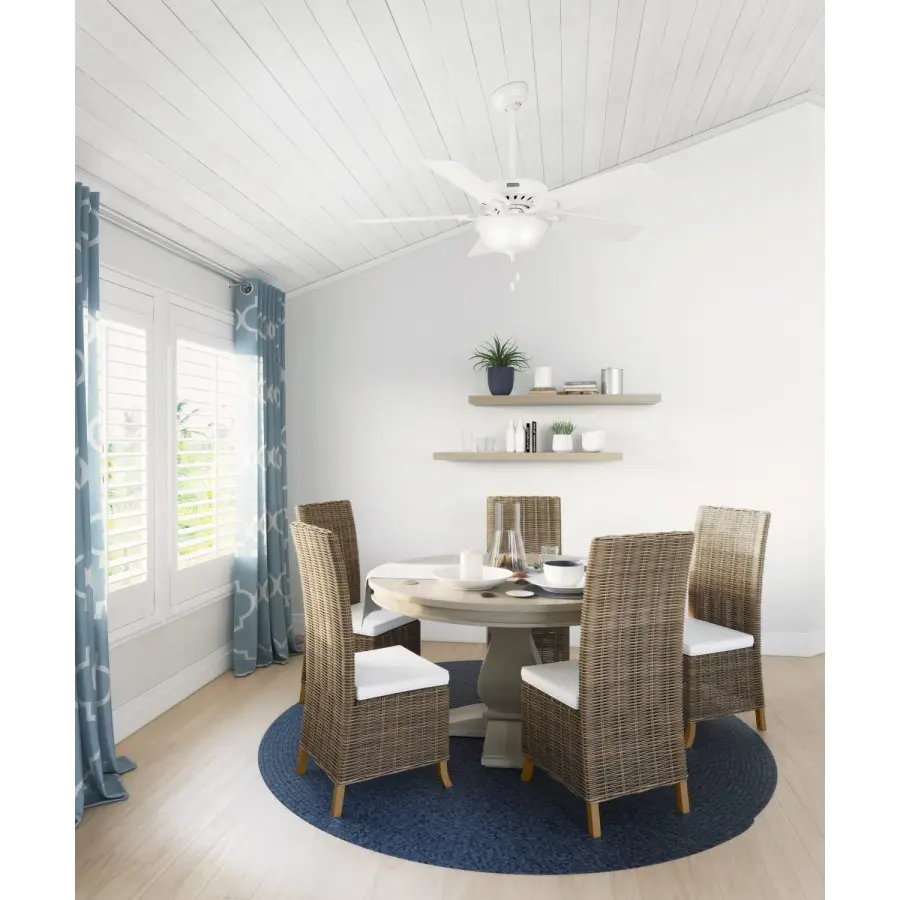 Pro's Best ENERGY STAR DC with Light 52 inch - Image 17