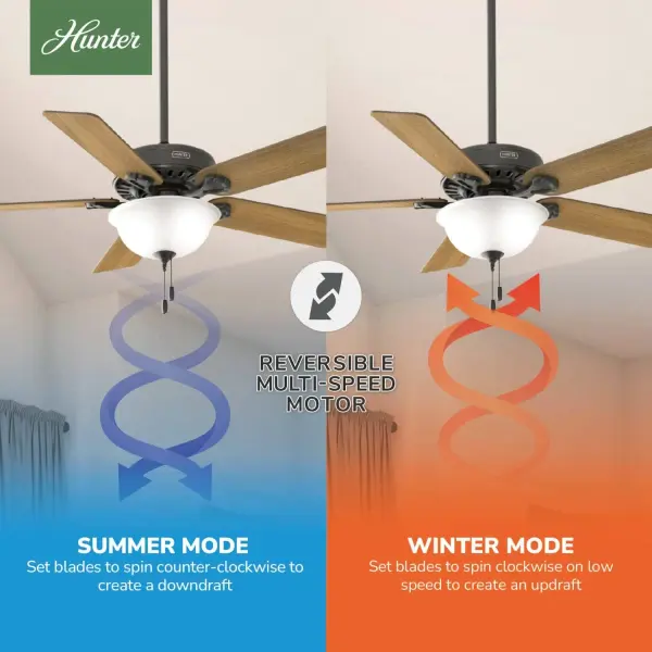 Pro's Best ENERGY STAR DC with Light 52 inch - Image 20