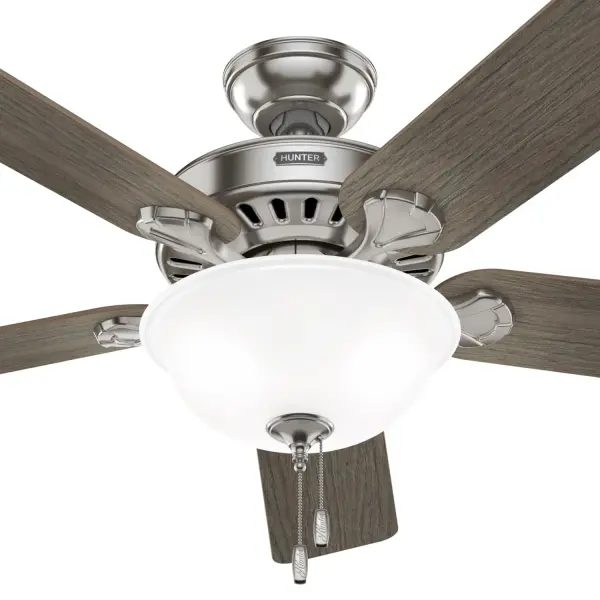 Pro's Best ENERGY STAR DC with Light 52 inch - Image 40
