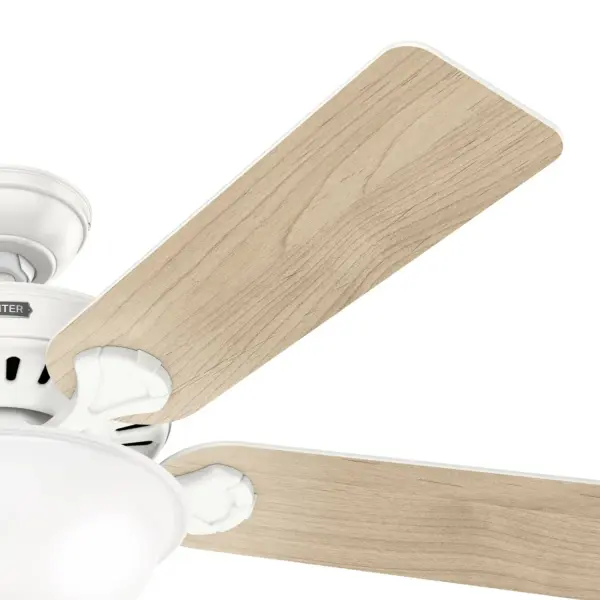 Pro's Best ENERGY STAR DC with Light 52 inch - Image 51