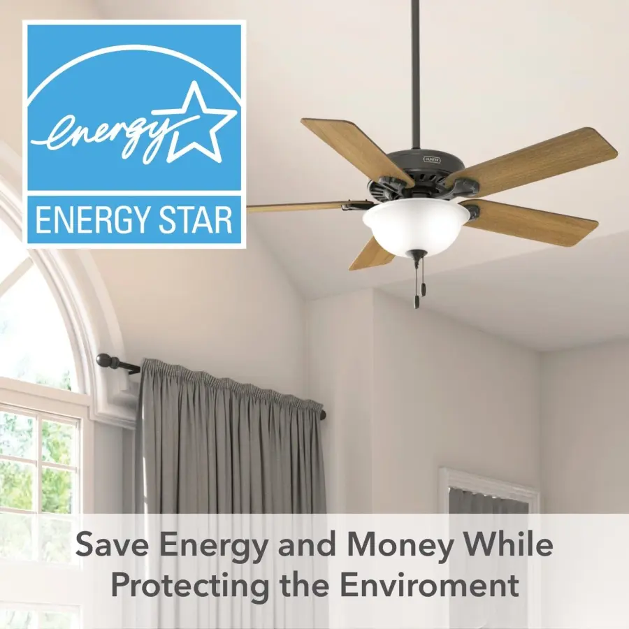Pro's Best ENERGY STAR DC with Light 52 inch - Image 56