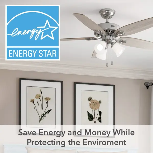 Builder ENERGY STAR DC with Light 52 inch - Image 36