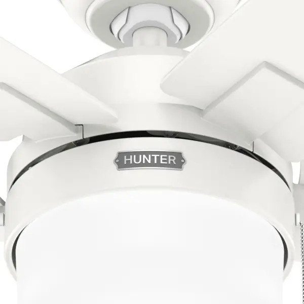 Anisten ENERGY STAR with LED Light 44 inch - Image 25