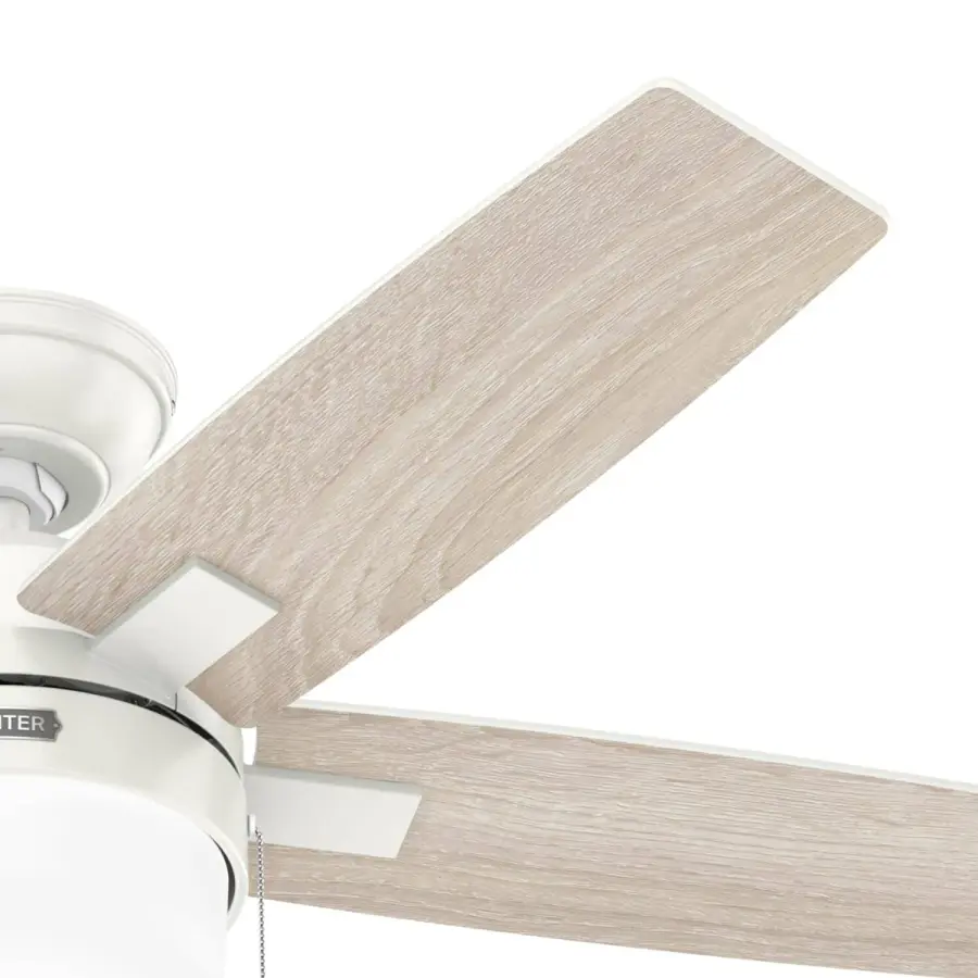 Anisten ENERGY STAR with LED Light 44 inch - Image 31