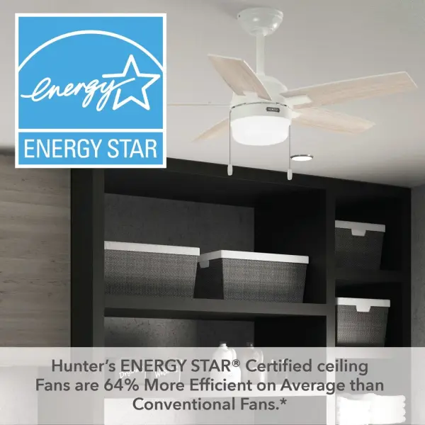 Anisten ENERGY STAR with LED Light 44 inch - Image 35